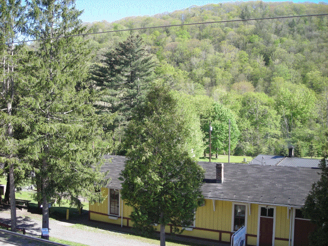 View from the window